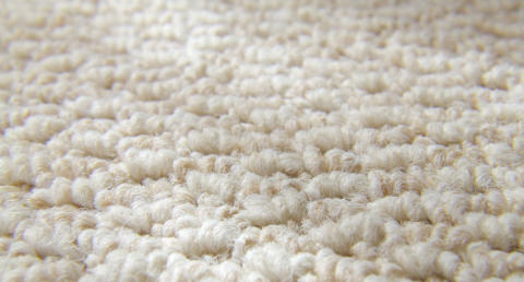 Carpet Cleaning